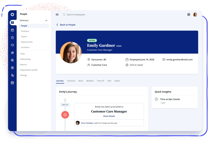 Rise software