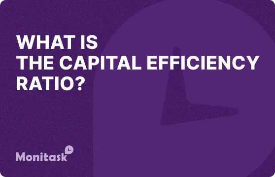 What is the Capital Efficiency Ratio? Illustration for the Monitask Business Glossary