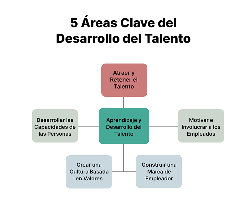 5 areas clave del desarrollo de talento